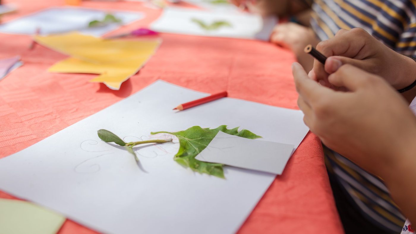 Des mains d'enfants disposent des feuilles d'arbre sur une feuille de papier, crayon à la main