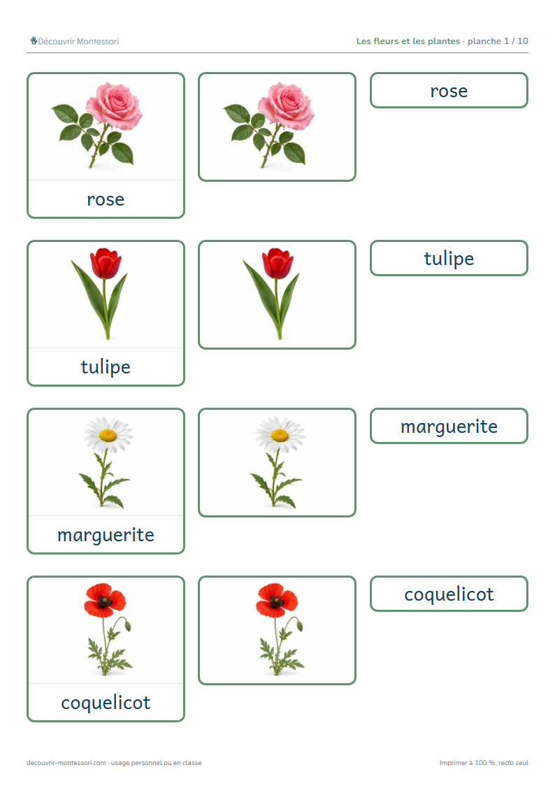 Première planche des cartes des fleurs et plantes en script