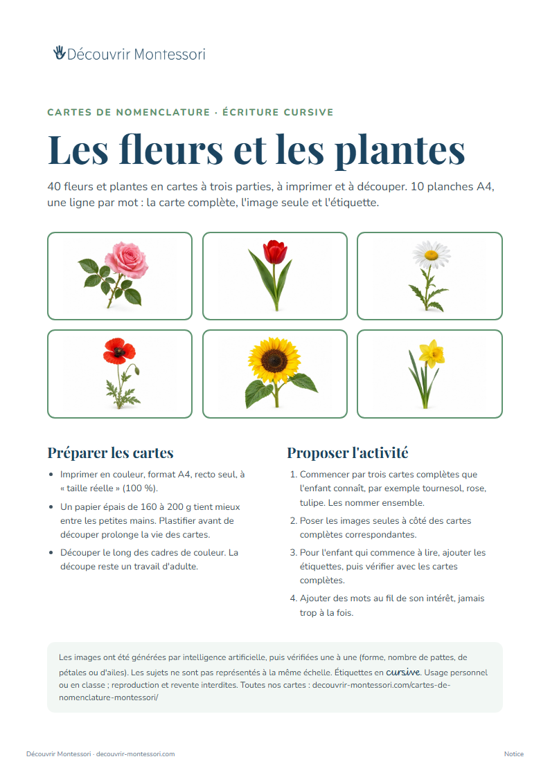 Couverture des cartes « Les fleurs et les plantes »