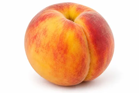 pêche