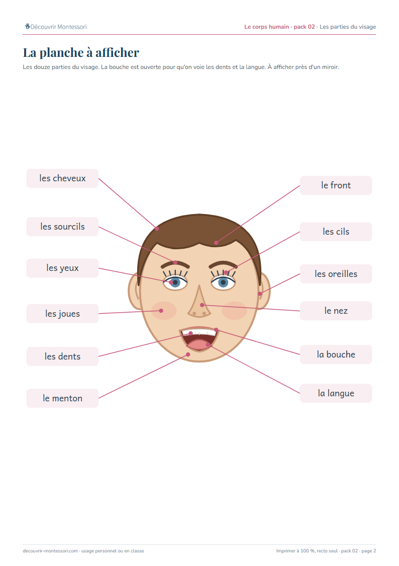 La planche du visage : douze parties nommées, des cheveux au menton, avec les dents et la langue