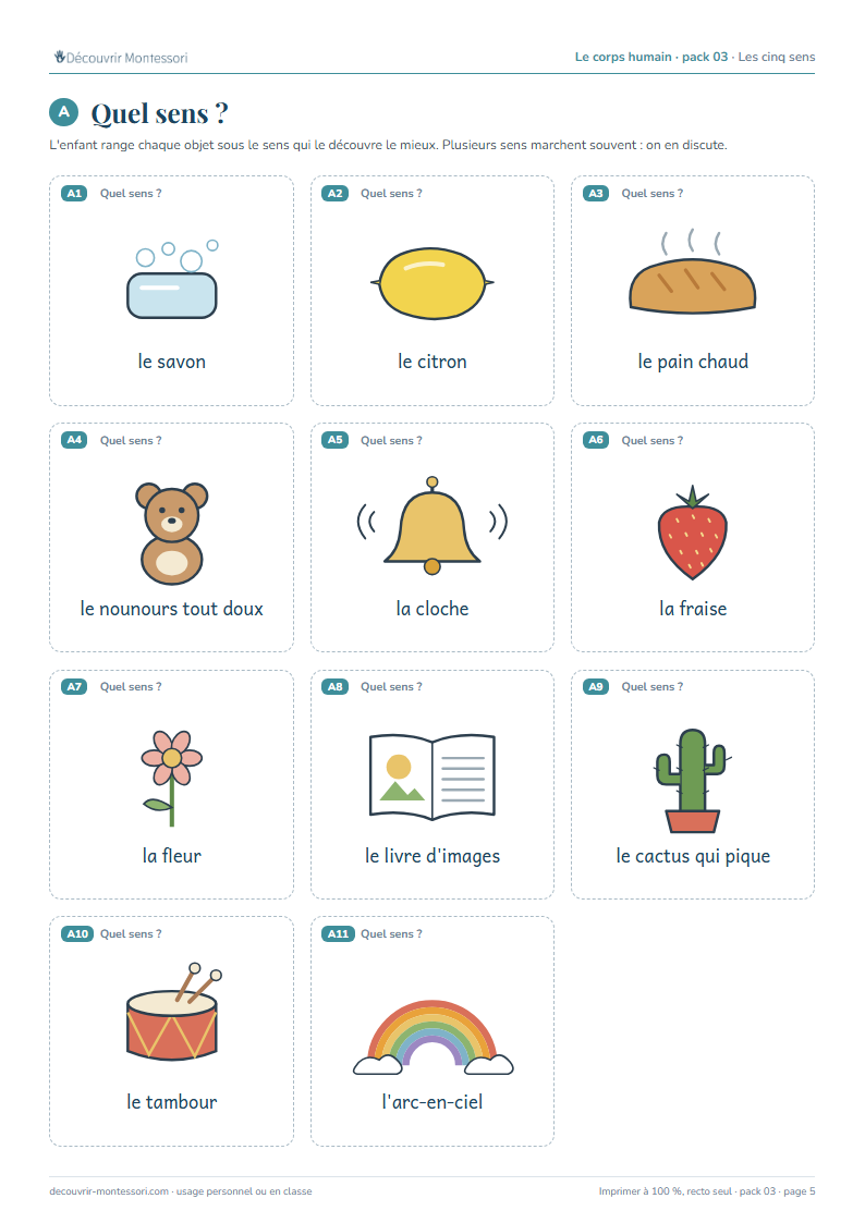 Onze cartes d'objets à trier par sens : savon, citron, pain chaud, nounours, cloche, fraise, fleur, livre, cactus, tambour, arc-en-ciel
