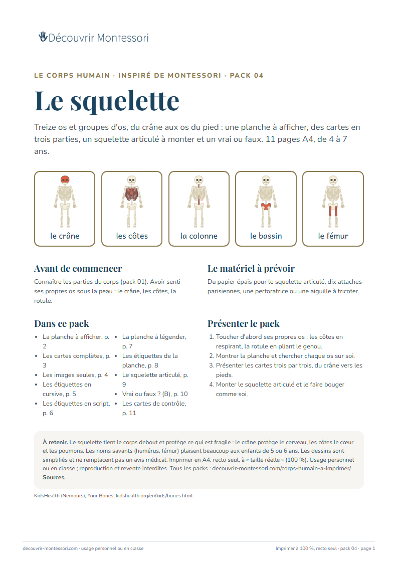 Première page du pack « Le squelette »