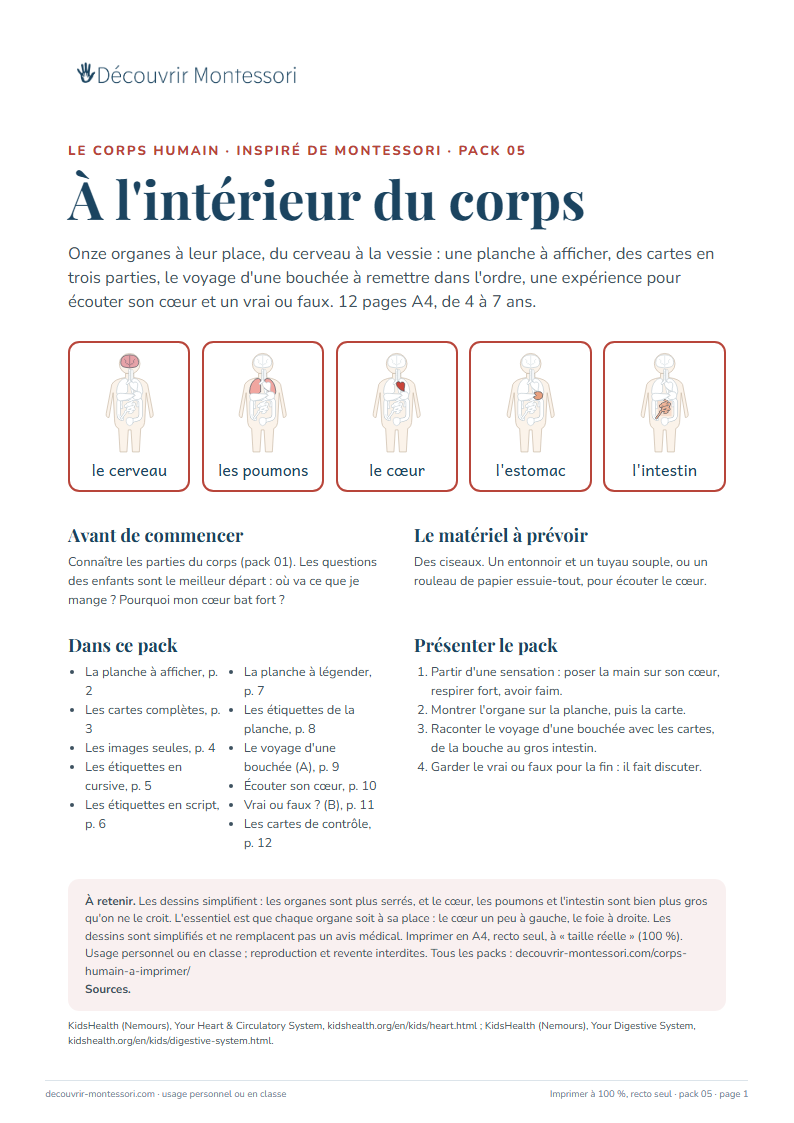 Première page du pack « À l'intérieur du corps »