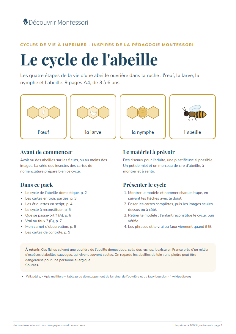 Première page du pack « Le cycle de l'abeille »