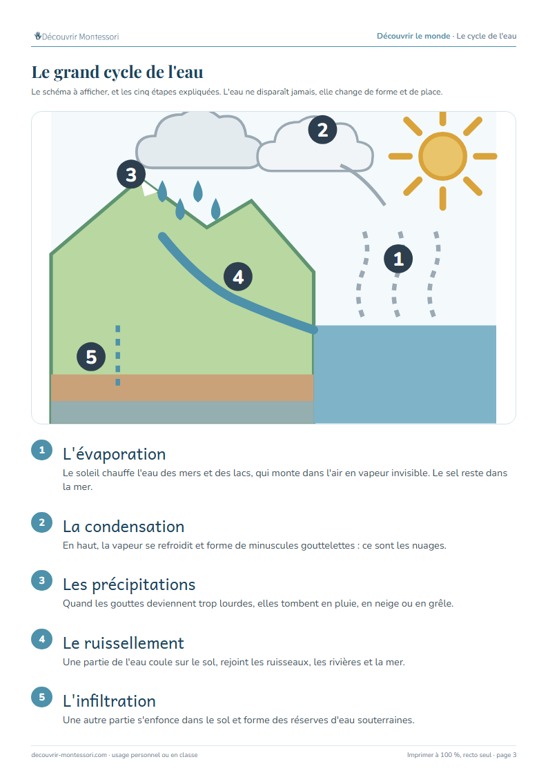 Le grand cycle de l'eau : évaporation de la mer, nuages, pluie sur la montagne, rivière et infiltration dans le sol
