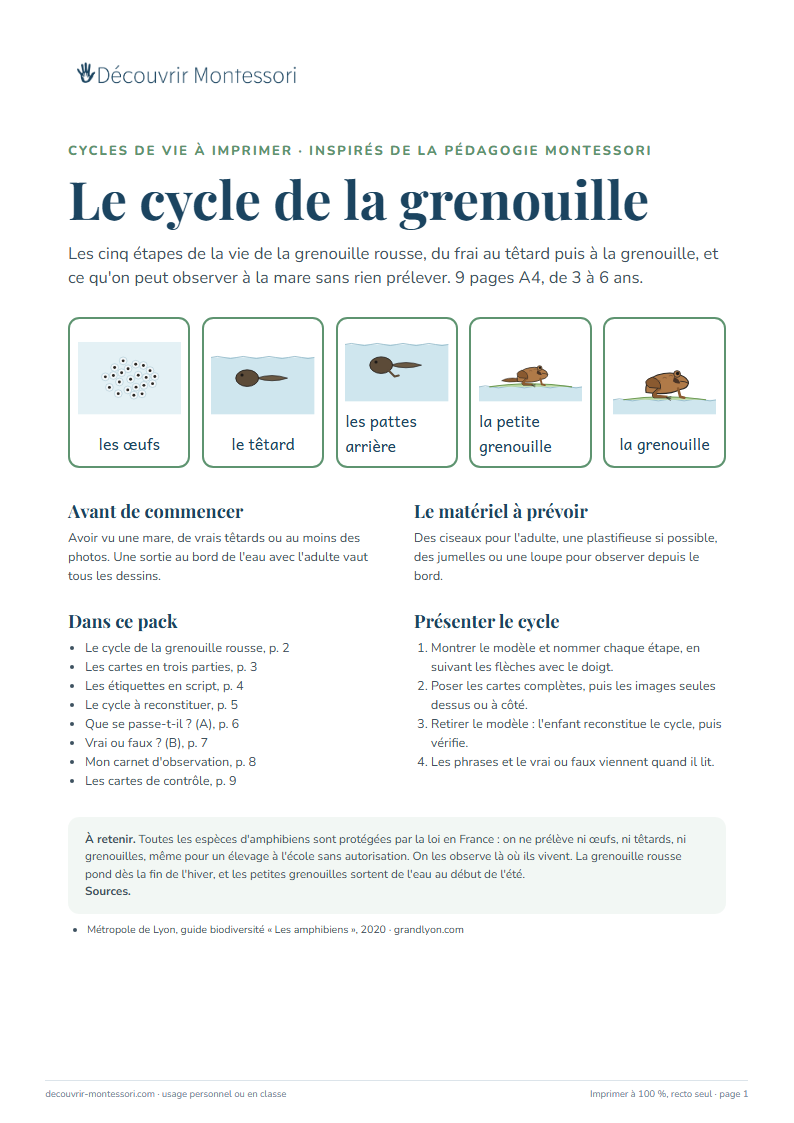 Première page du pack « Le cycle de la grenouille »