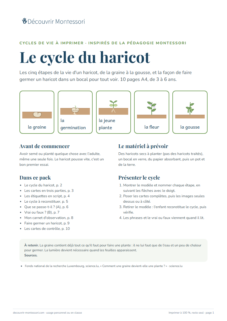 Première page du pack « Le cycle du haricot »