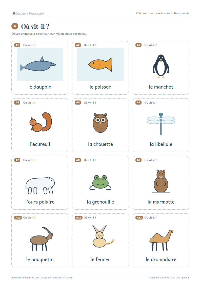 Douze animaux à placer sur leur milieu : dauphin, poisson, manchot, écureuil, chouette, libellule, ours polaire, grenouille, marmotte, bouquetin, fennec, dromadaire