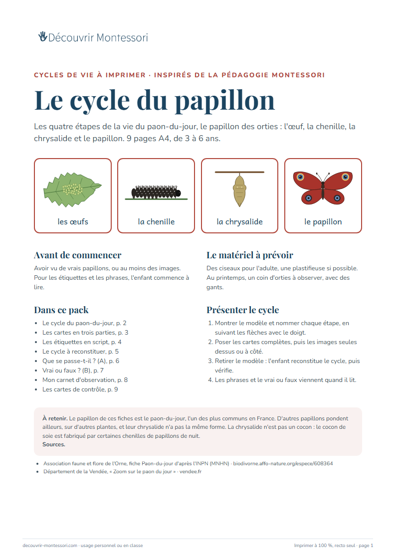 Première page du pack « Le cycle du papillon »
