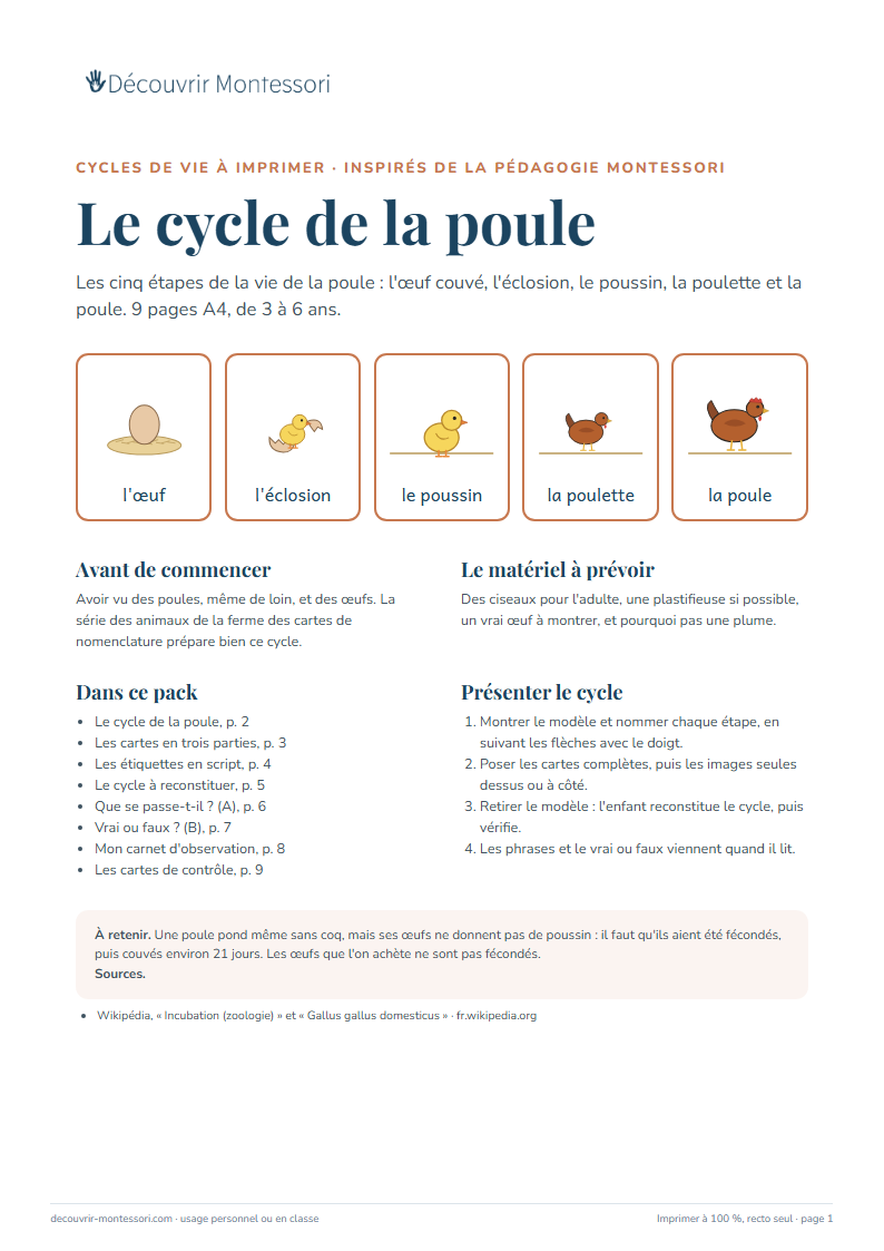 Première page du pack « Le cycle de la poule »