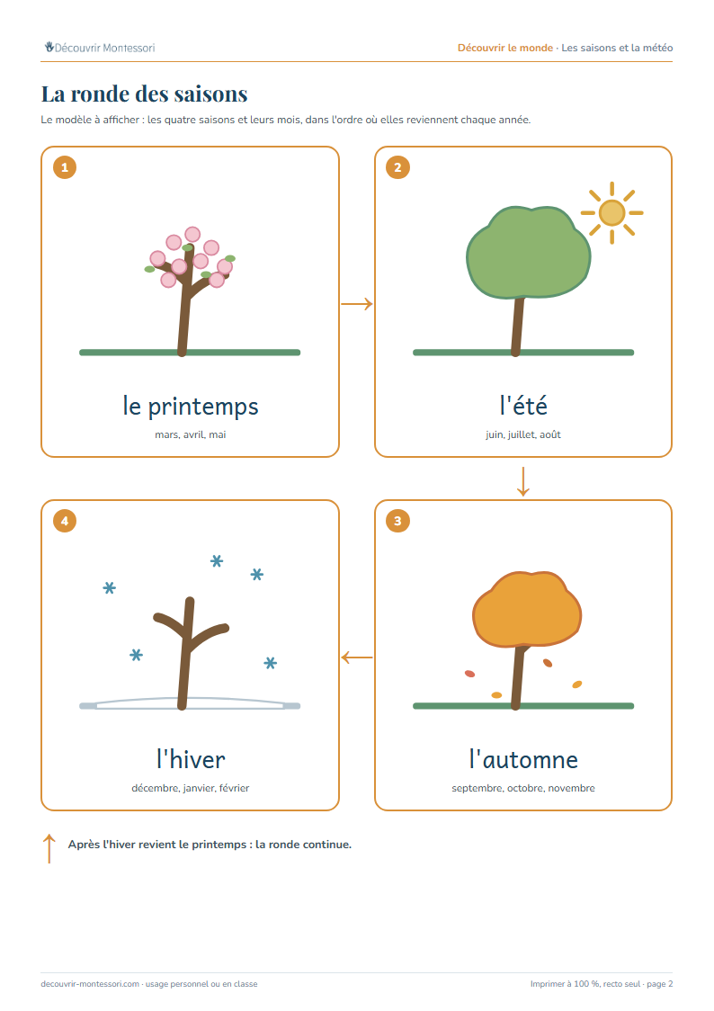 La ronde des saisons : le même arbre au printemps, en été, en automne et en hiver, avec les mois