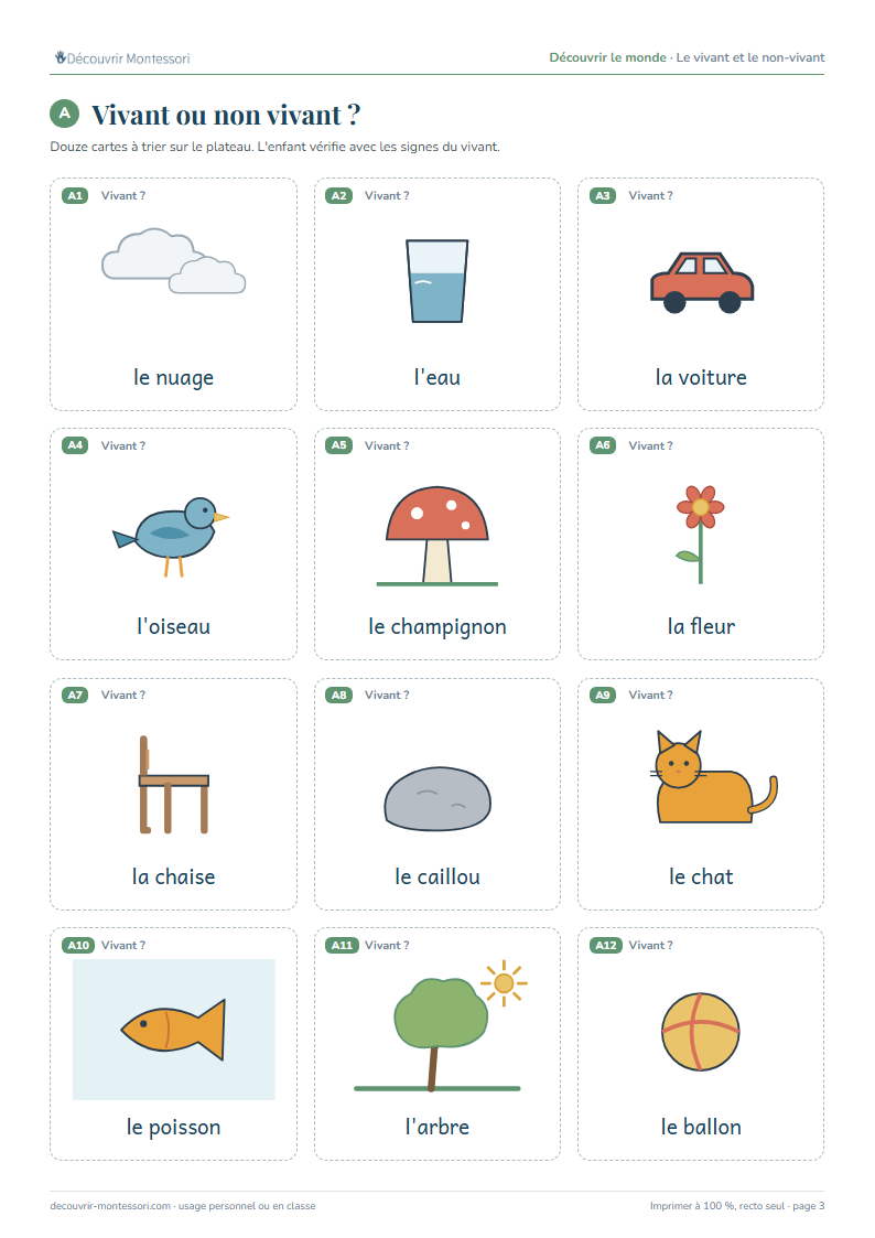 Douze cartes à trier : nuage, eau, voiture, oiseau, champignon, fleur, chaise, caillou, chat, poisson, arbre, ballon