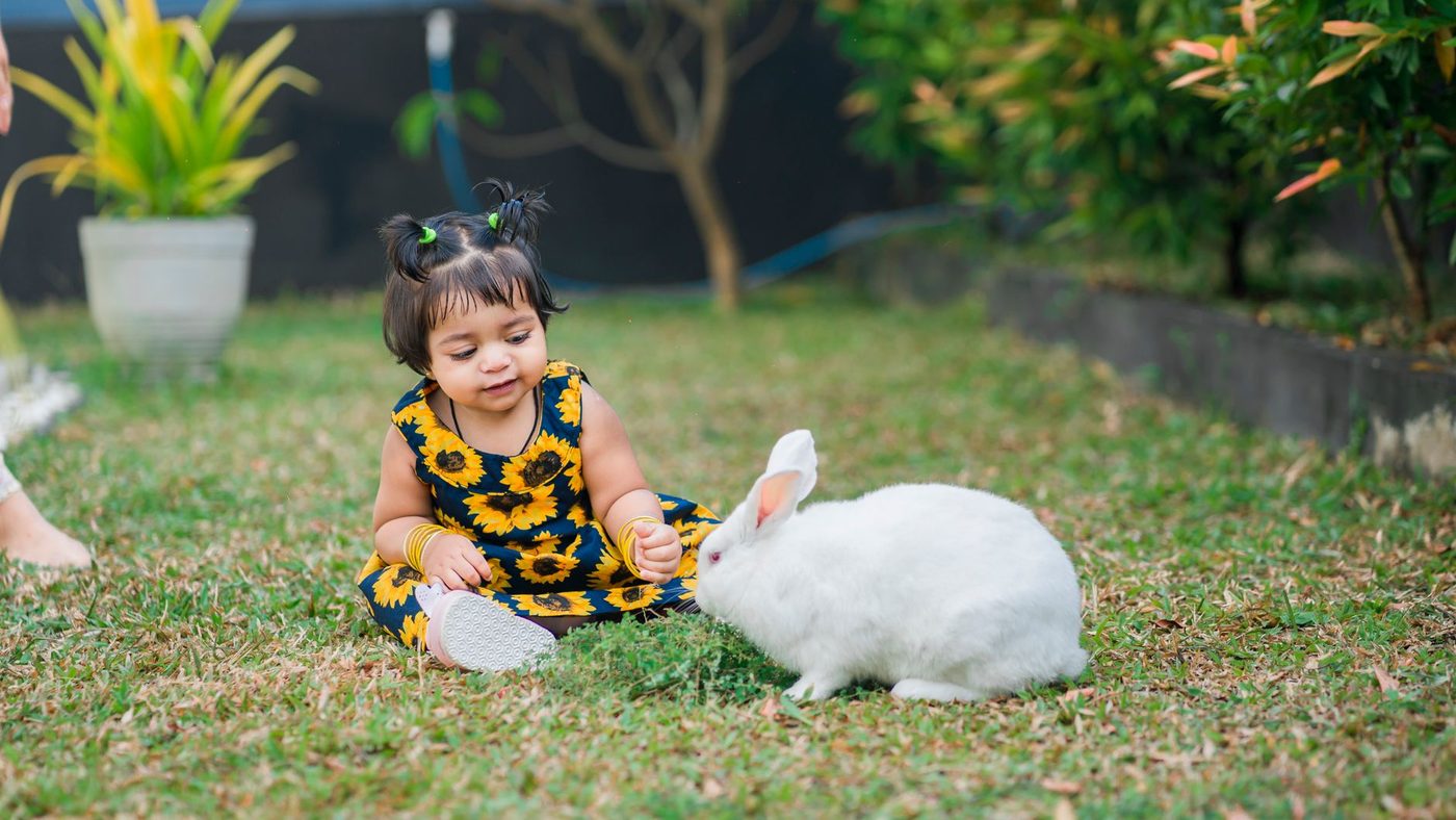 Une petite fille assise dans l'herbe à côté d'un lapin blanc