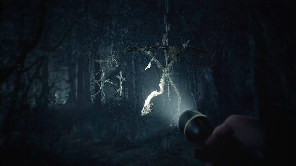 Capture d'écran