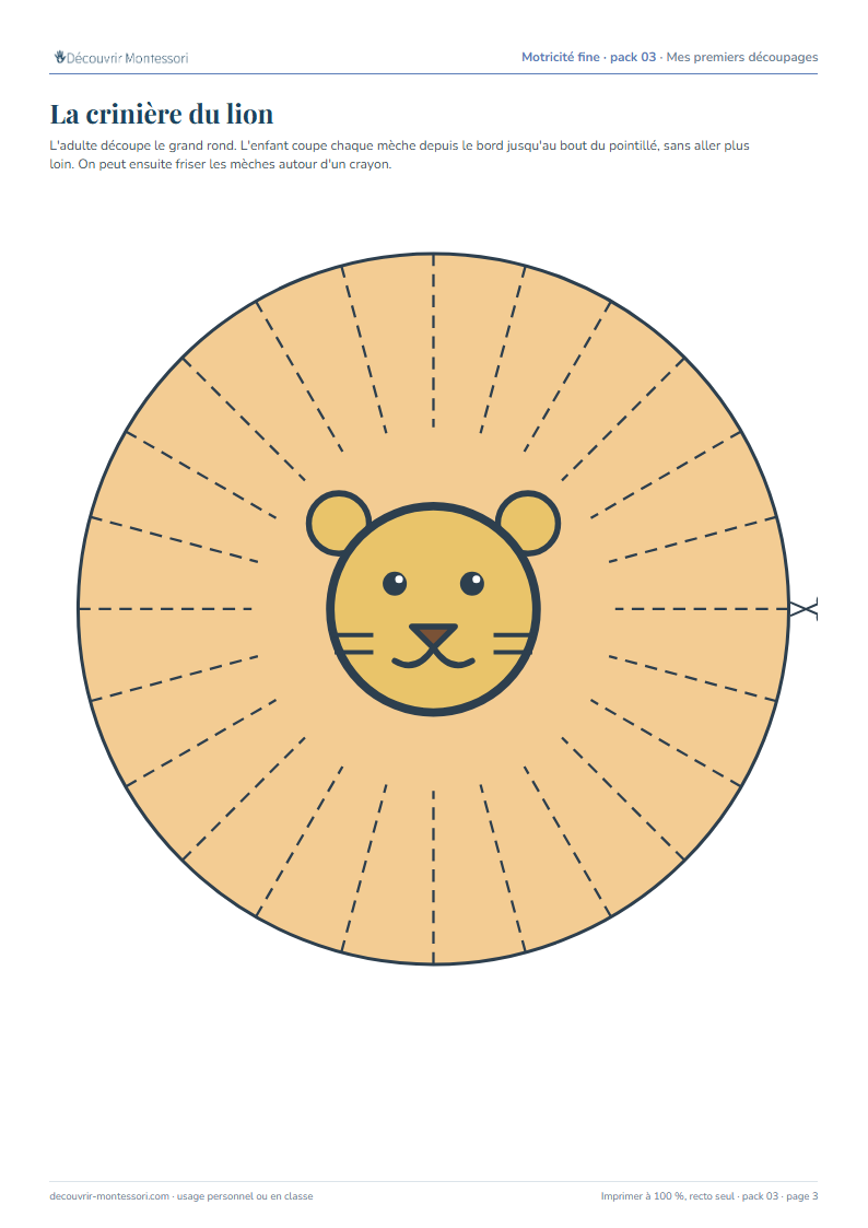 La crinière du lion : des traits en pointillés tout autour de la tête, à couper depuis le bord