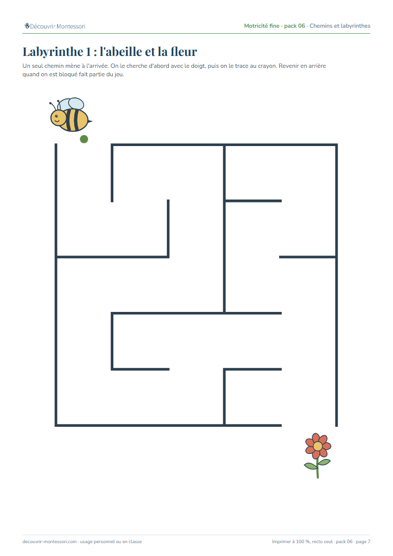 Le premier labyrinthe : l'abeille en haut à gauche, la fleur en bas à droite, cinq cases sur cinq