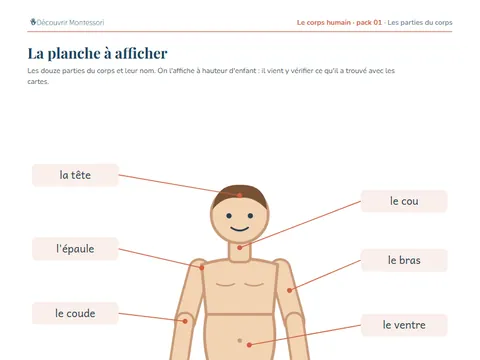 Une page du pack « Les parties du corps »
