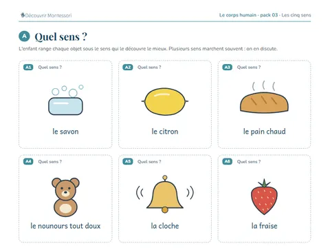 Une page du pack « Les cinq sens »