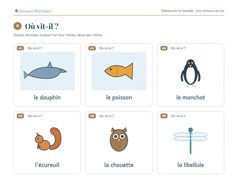 Une page de cartes du pack « Les milieux de vie »