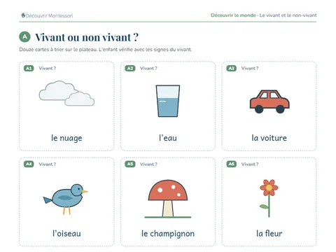 Une page de cartes du pack « Le vivant et le non-vivant »