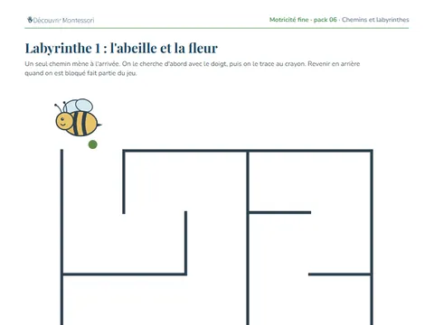Une fiche du pack « Chemins et labyrinthes »